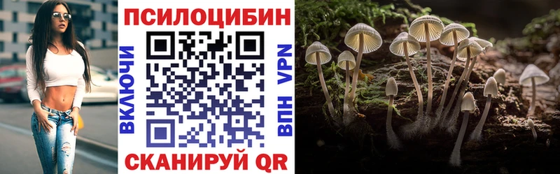 Галлюциногенные грибы Cubensis купить наркотики цена ОМГ ОМГ ТОР Верещагино